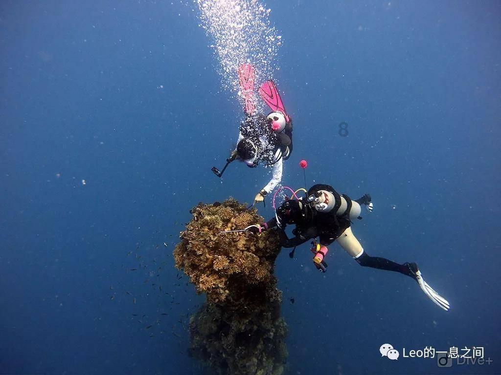 浙江移动完成双频双模基站首次商用验证：以数字赋能乡村共同富裕